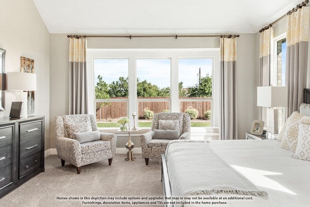 406 Maltese Cir, Wylie, TX 75098 - carpeted bedroom featuring multiple windows, baseboards, and lofted ceiling