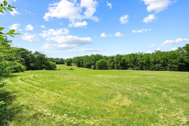 1462 Pettit Pkwy, Whitewright, TX 75491