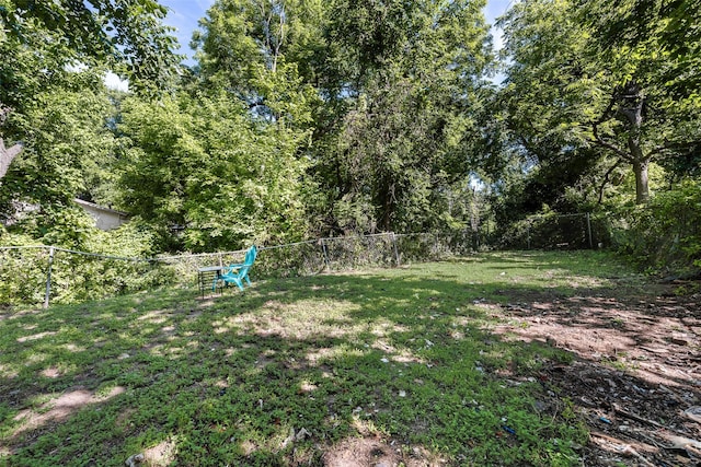 1622 Ave B, Dallas, TX 75203 - view of yard