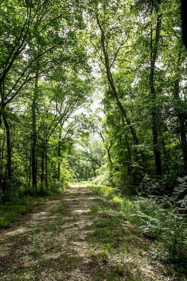 TBD County Road 47, Tyler, TX 75704