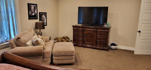 413 Prairie Crk, Sulphur Springs, TX 75482 - living area featuring carpet floors and baseboards