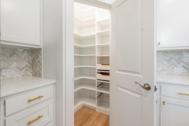 913 Emerling Dr, Mckinney, TX 75069 - view of storage area