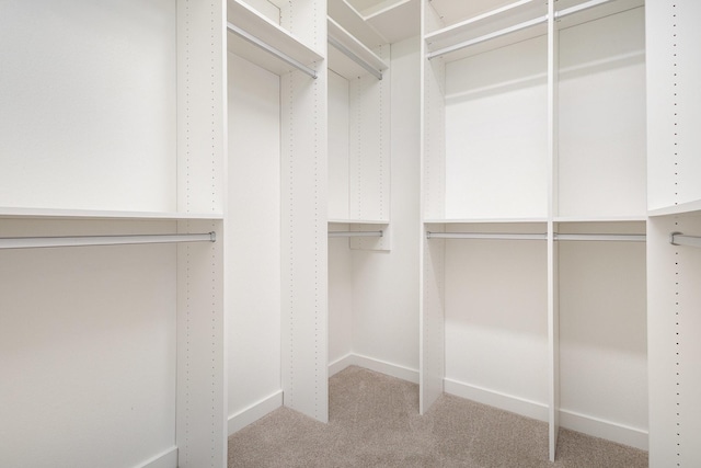 913 Emerling Dr, Mckinney, TX 75069 - walk in closet featuring carpet flooring