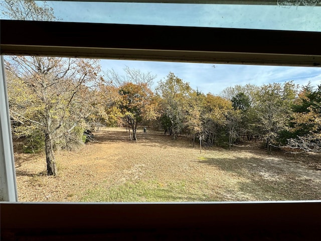 474 Eagle Cove Cir, Tioga, TX 76271 - view of yard