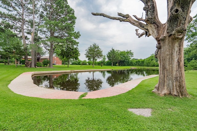 350 Vz County Road 3907, Wills Point, TX 75169 - surrounding community with a water view and a yard