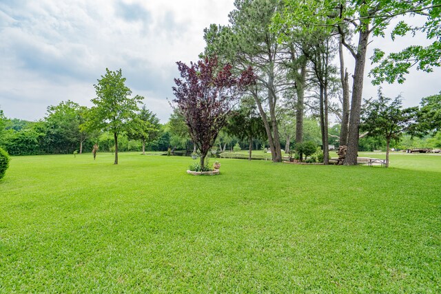 350 Vz County Road 3907, Wills Point, TX 75169 - view of green lawn