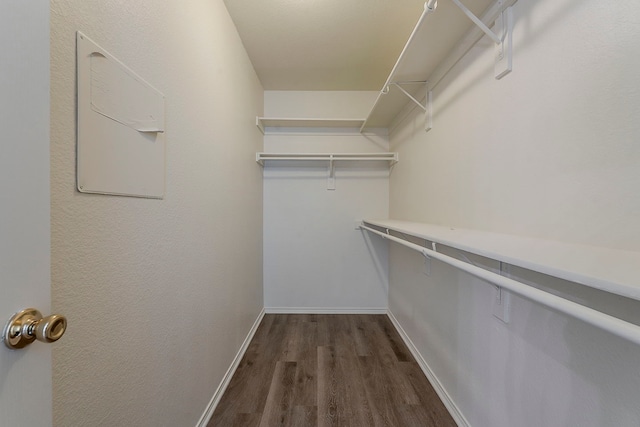 1720 Triumph Trl, Arlington, TX 76002 - walk in closet with dark wood finished floors