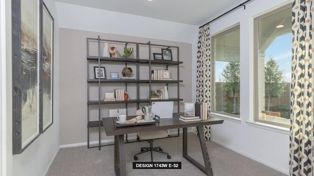 3501 Holly Hill Ln, Little Elm, TX 75068 - carpeted office featuring healthy amount of natural light and baseboards