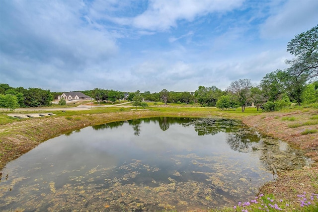 1014 Eagles Ridge Ct, Weatherford, TX 76087 - water view
