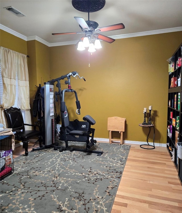 104 Olives Br, Shady Shores, TX 76208 - workout area featuring ceiling fan, wood finished floors, and ornamental molding
