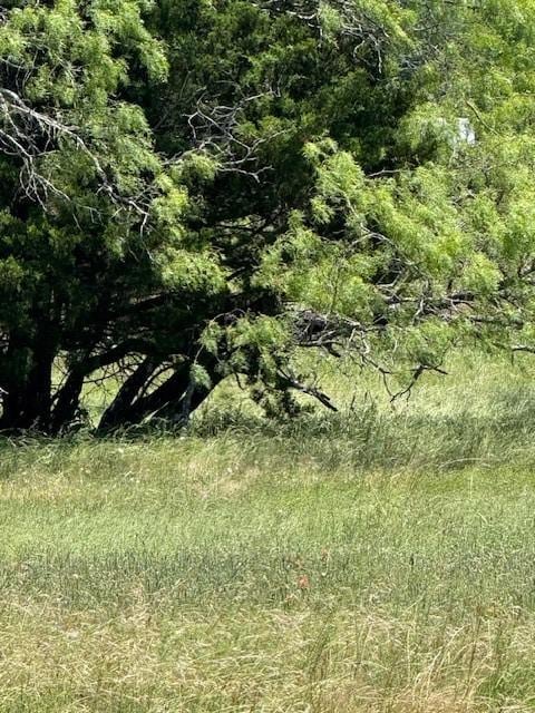 550 Fm 429, Terrell, TX 75161