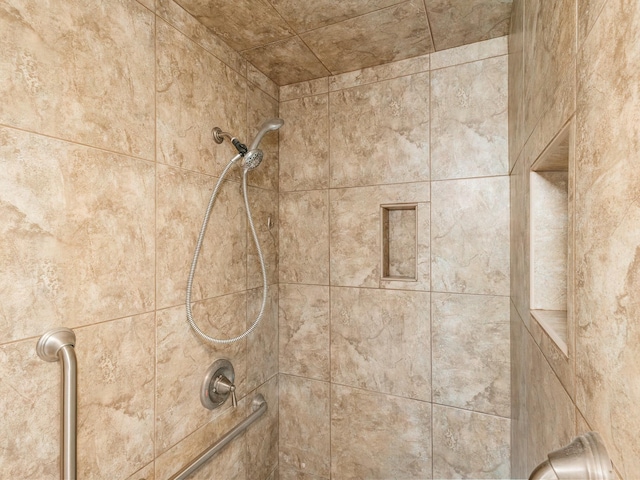 905 High Rd, Coleman, TX 76834 - bathroom view of tiled shower