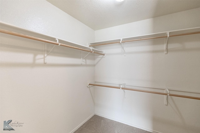 210 Miss Ellie Ln, Abilene, TX 79602 - walk in closet with carpet flooring