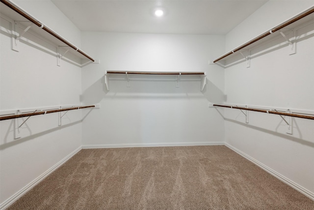 3104 Lakewood Bluffs Trl, Lewisville, TX 75010 - walk in closet with carpet