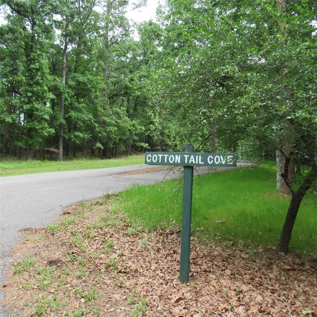 TBD Rolling Ridge, Holly Lake Ranch, TX 75765