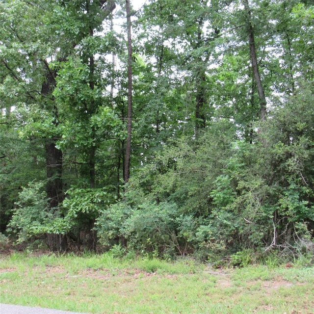 TBD Rolling Ridge, Holly Lake Ranch, TX 75765