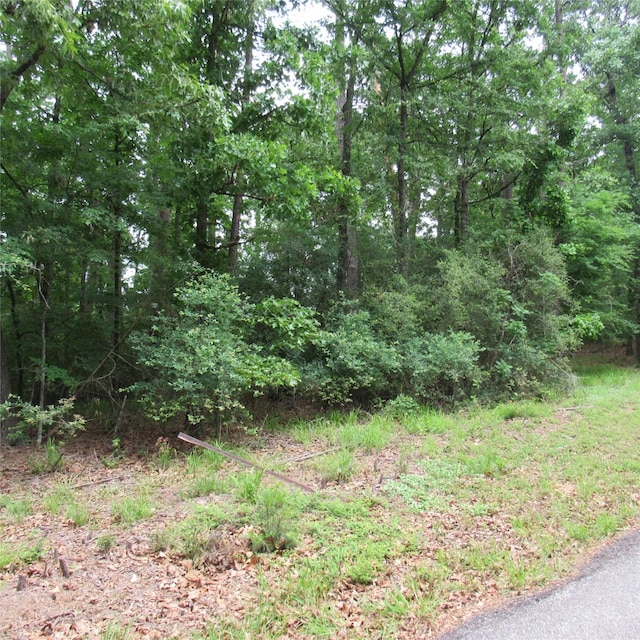TBD Rolling Ridge, Holly Lake Ranch, TX 75765