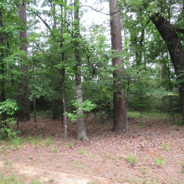 TBD Rolling Ridge, Holly Lake Ranch, TX 75765