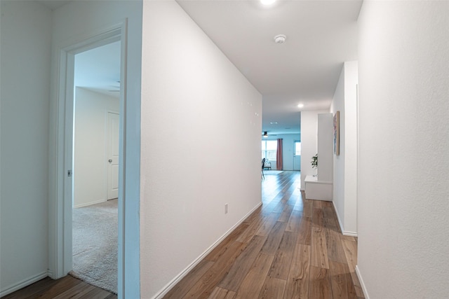 723 Cochran Dr, Princeton, TX 75407 - hall with wood finished floors, baseboards, and recessed lighting