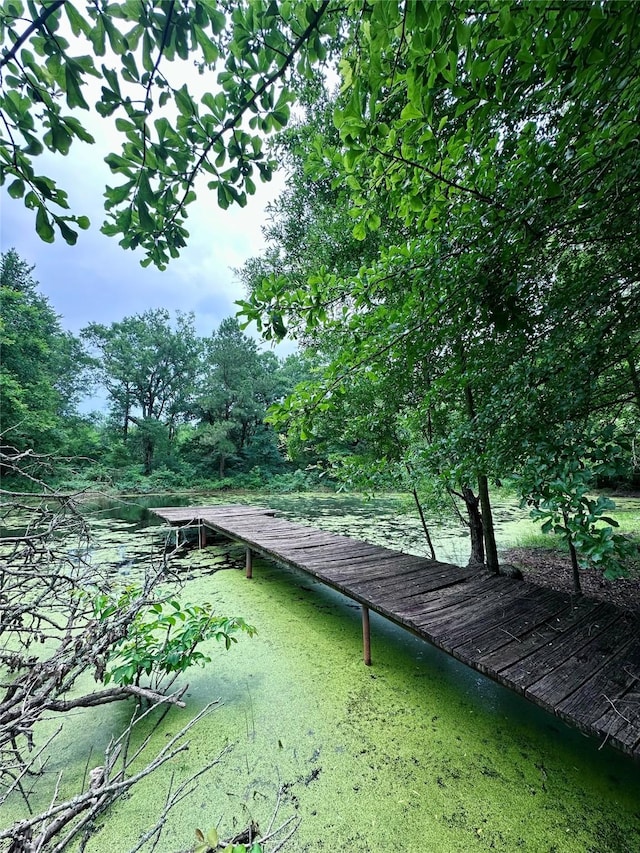 606 Quiram Ln, Kemp, TX 75143 - view of community with a boat dock