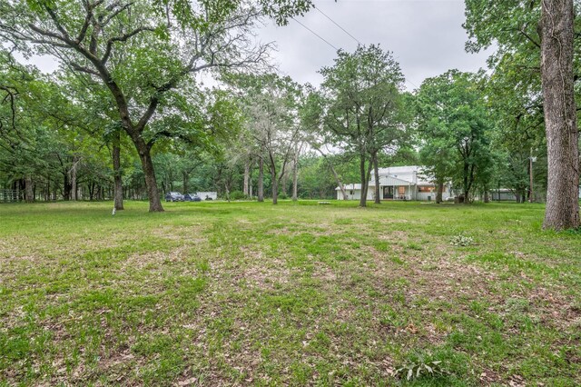 606 Quiram Ln, Kemp, TX 75143 - view of yard