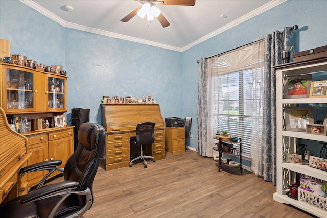 568 Willowview Dr, Saginaw, TX 76179 - office with a ceiling fan, light wood-type flooring, and crown molding
