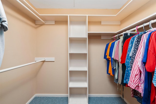 3245 Gail Ct, Irving, TX 75060 - walk in closet with carpet floors