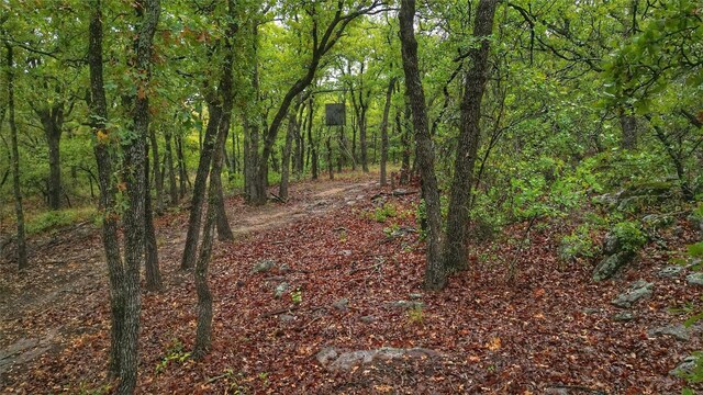 492 Hill Top, Montague, TX 76251
