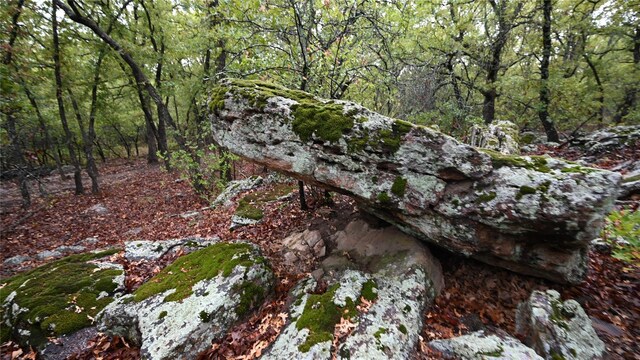 492 Hill Top, Montague, TX 76251
