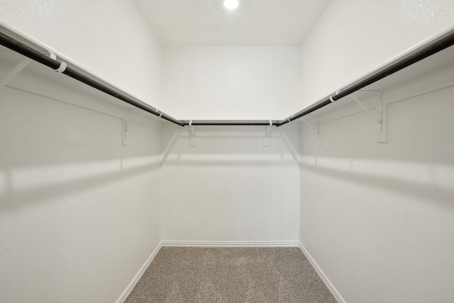 511 Willet Dr, Mckinney, TX 75069 - walk in closet featuring carpet