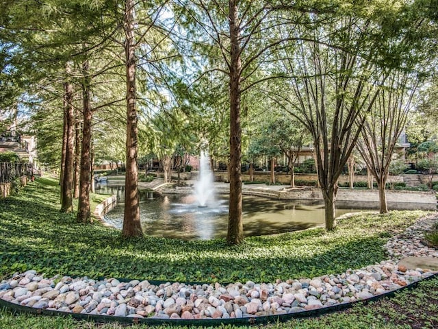 4138 Towne Green Cir, Addison, TX 75001 - view of community with a water view