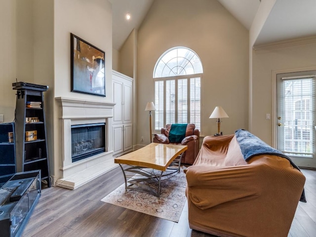 4138 Towne Green Cir, Addison, TX 75001 - living area featuring plenty of natural light, a tiled fireplace, wood finished floors, and high vaulted ceiling