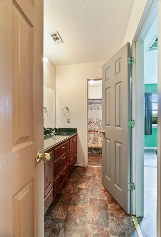 1100 County Road 12200, Paris, TX 75462 - full bathroom with vanity, stone finish flooring, and a textured ceiling