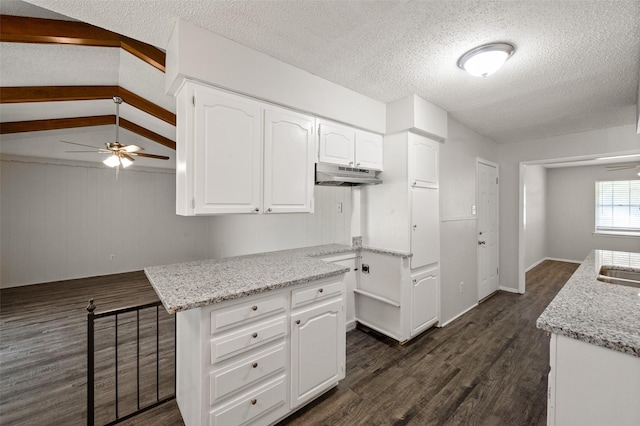 230 NE Craig St, Burleson, TX 76028 - kitchen featuring under cabinet range hood, a textured ceiling, white cabinets, a ceiling fan, and dark wood-type flooring