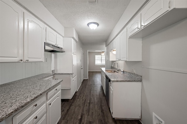 230 NE Craig St, Burleson, TX 76028 - kitchen featuring under cabinet range hood, a sink, a textured ceiling, white cabinets, and light stone counters