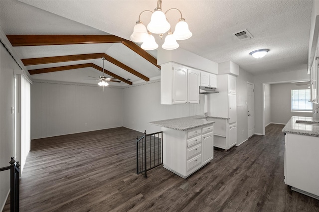 230 NE Craig St, Burleson, TX 76028 - kitchen with white cabinetry, dark wood-style floors, lofted ceiling, light stone counters, and a sink