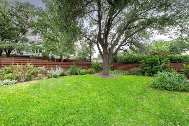 5624 Melshire Dr, Dallas, TX 75230 - view of yard
