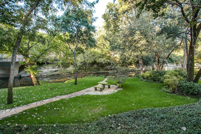 4678 Christopher Pl, Dallas, TX 75204 - view of green lawn
