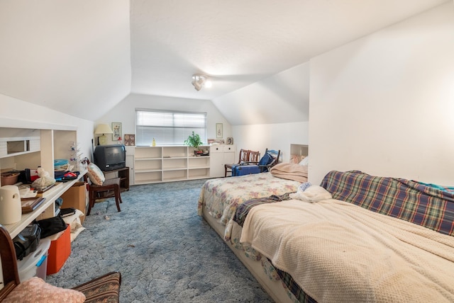 1728 Foster Dr, Arlington, TX 76012 - carpeted bedroom featuring lofted ceiling