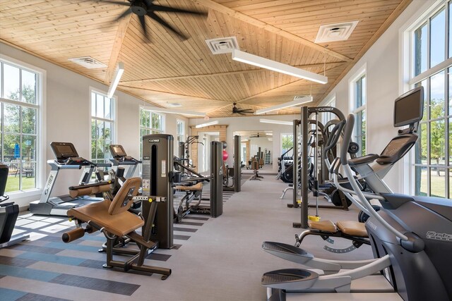 16098 Garganey Ct, Frisco, TX 75035 - workout area featuring a ceiling fan, wooden ceiling, and plenty of natural light