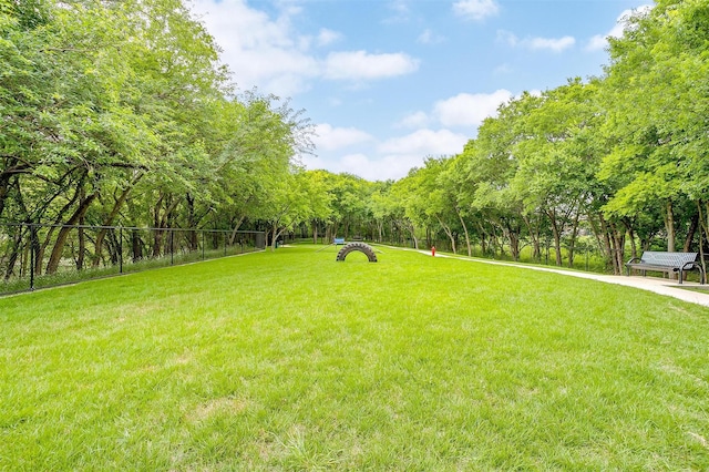 16556 White Fish Ln, Justin, TX 76247 - view of yard