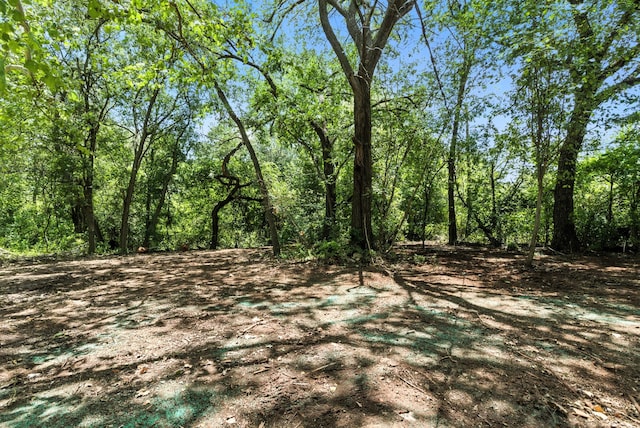 1423 W Ball St, Weatherford, TX 76086 - view of woods