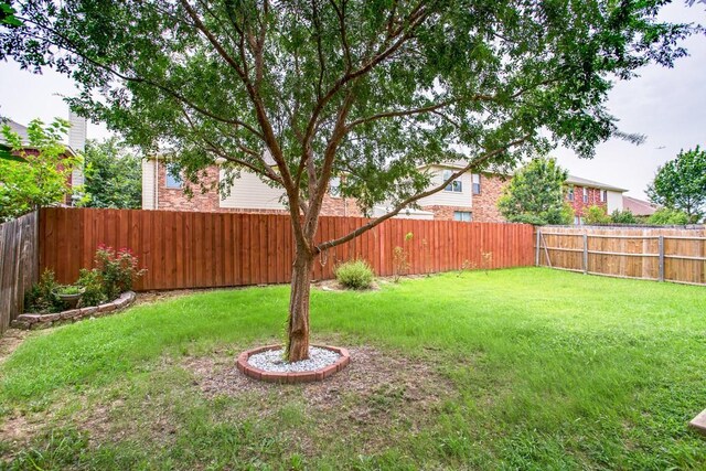 1508 Caymus Ct, Lewisville, TX 75067 - view of yard