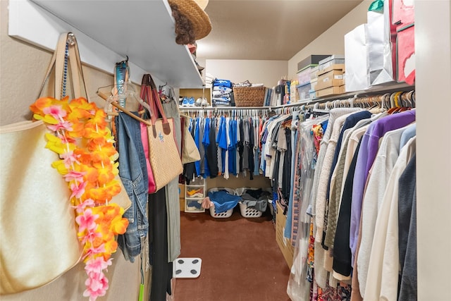 415 Stone Mountain Ct, Cresson, TX 76035 - spacious closet with carpet