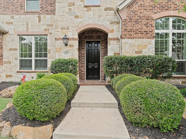 897 Clear Water Dr, Allen, TX 75013 - entrance to property with stone siding