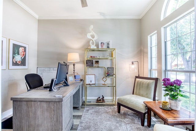 10108 Hunter Run, Frisco, TX 75035 - office area with wood finished floors and ornamental molding