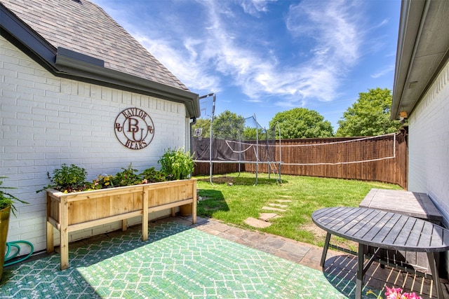 10108 Hunter Run, Frisco, TX 75035 - fenced backyard with a patio area and a trampoline