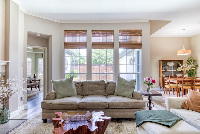10108 Hunter Run, Frisco, TX 75035 - living area with wood finished floors and crown molding