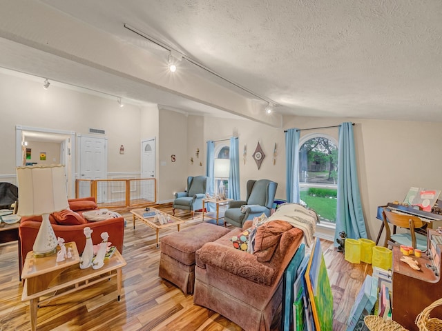 1824 Castille Dr, Carrollton, TX 75007 - living room with track lighting, light wood-type flooring, lofted ceiling, and a textured ceiling