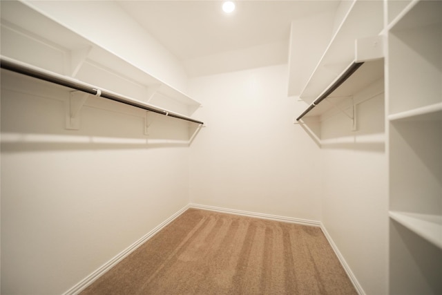 624 Ansley Way, Allen, TX 75013 - walk in closet featuring light carpet